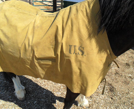 US Cavalry Horse Blanket